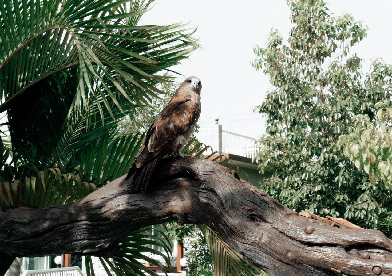 Rai Fahpratan Home And Garden Ban Pak Ngam  Dış mekan fotoğraf