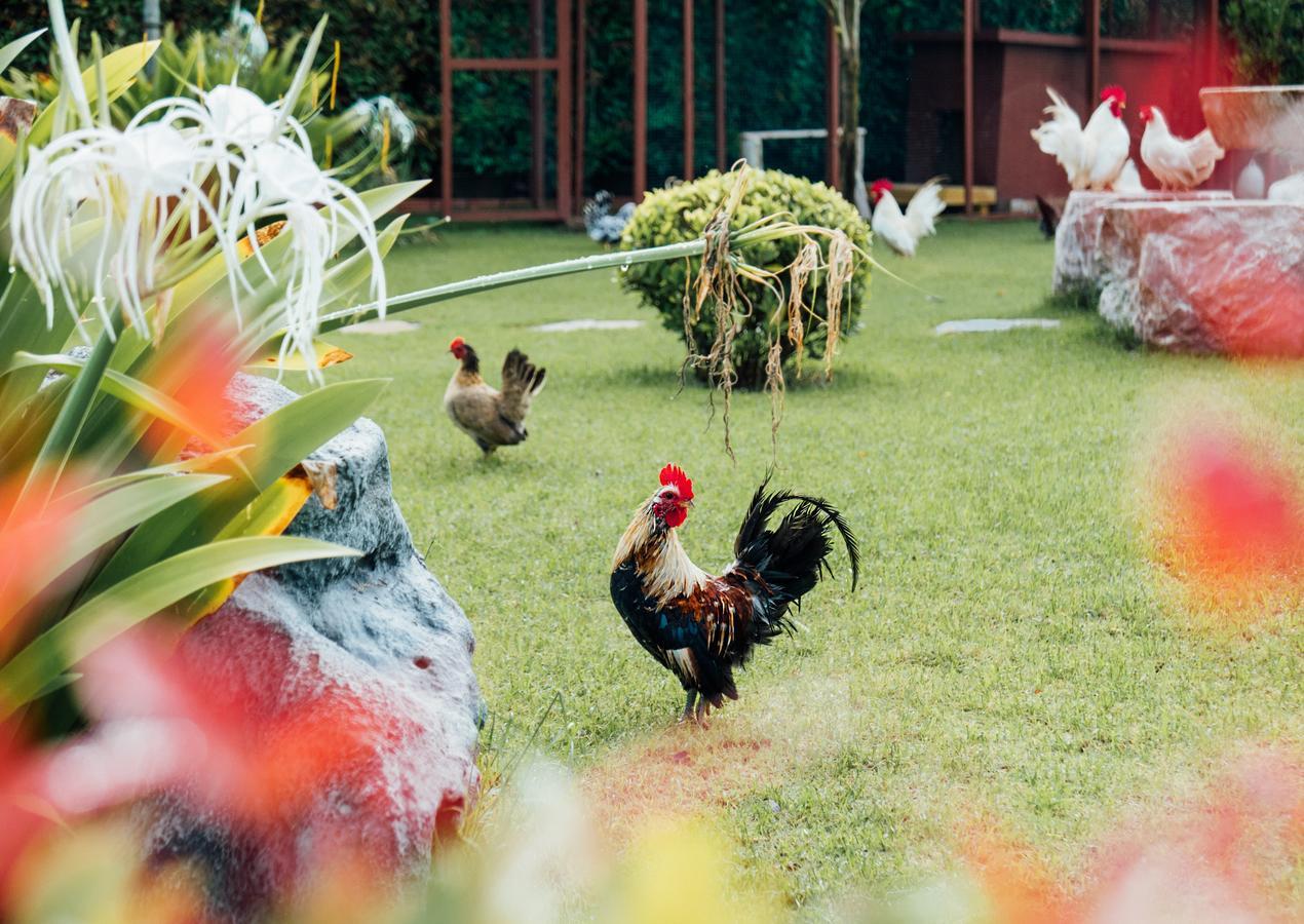 Rai Fahpratan Home And Garden Ban Pak Ngam  Dış mekan fotoğraf