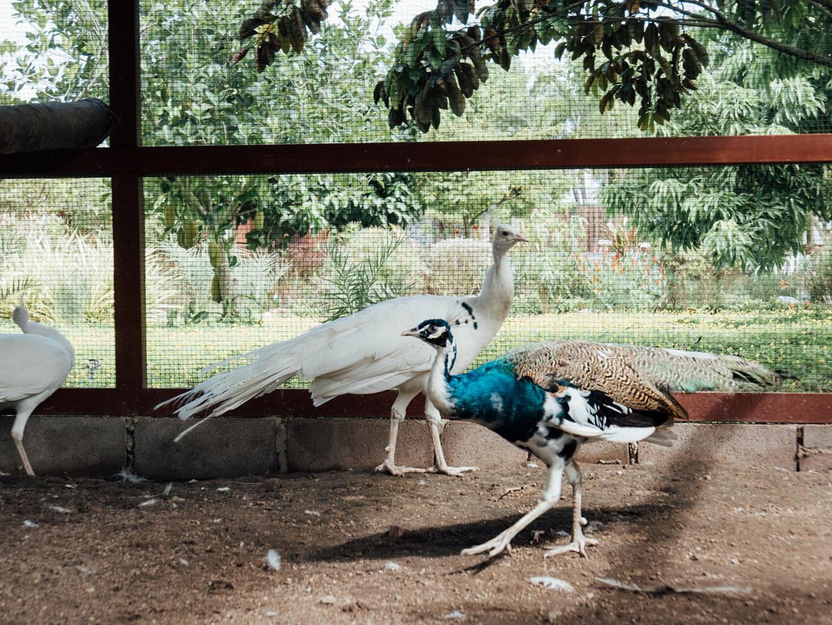 Rai Fahpratan Home And Garden Ban Pak Ngam  Dış mekan fotoğraf